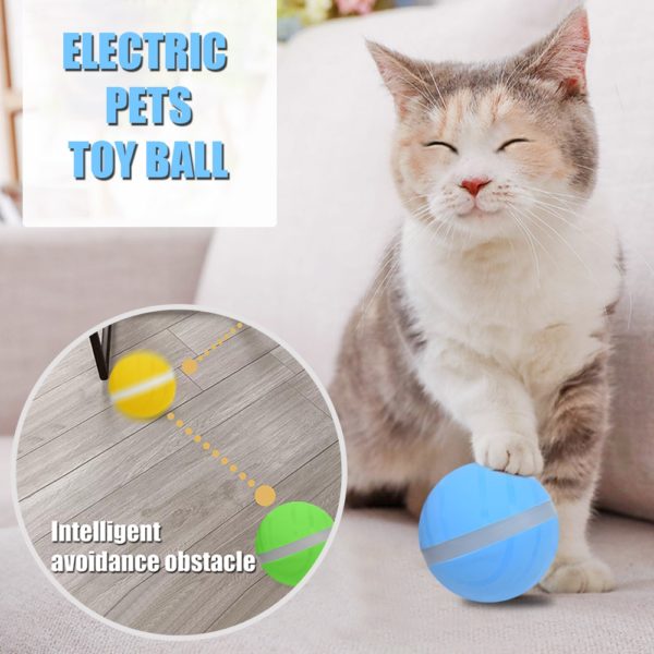 LED Pet Motion Ball - Image 3