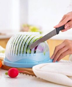 Salad Cutter Bowl