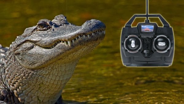 PRANK – REMOTE CONTROLLED ALLIGATOR - Image 7