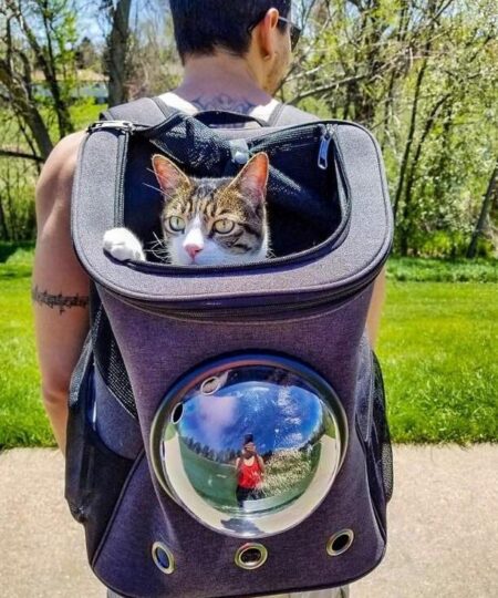 "The Fat Cat" Cat Backpack