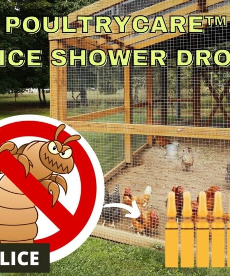 [PROMO 30% OFF] PoultryCare™ Lice Shower Drop