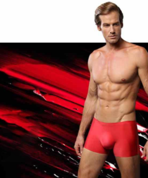 LISTENTOWIND™ Men's Ice Silk Breathable Underwear