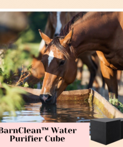 [PROMO 30% OFF] BarnClean™ Water Purifier Cube