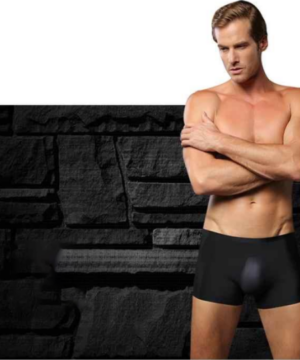 LISTENTOWIND™ Men's Ice Silk Breathable Underwear