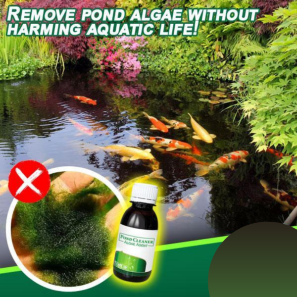 [PROMO 30% OFF] AlgaeAway™ Pond Purifier Agent