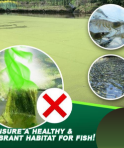 [PROMO 30% OFF] AlgaeAway™ Pond Purifier Agent