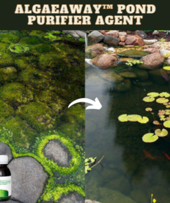 [PROMO 30% OFF] AlgaeAway™ Pond Purifier Agent