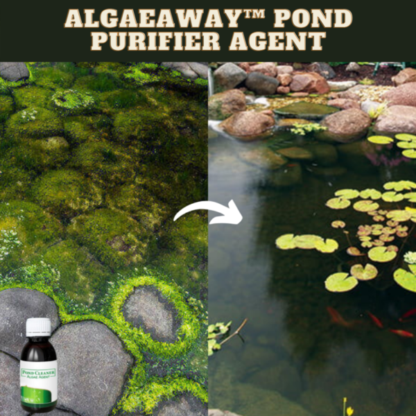 [PROMO 30% OFF] AlgaeAway™ Pond Purifier Agent