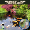 [PROMO 30% OFF] AlgaeAway™ Pond Purifier Agent