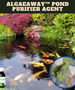 [PROMO 30% OFF] AlgaeAway™ Pond Purifier Agent