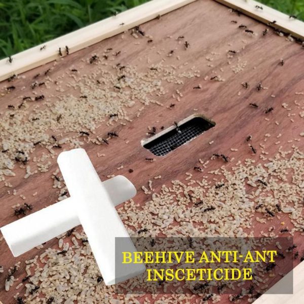 [PROMO 30% OFF] Beehive Ant Control Insecticide