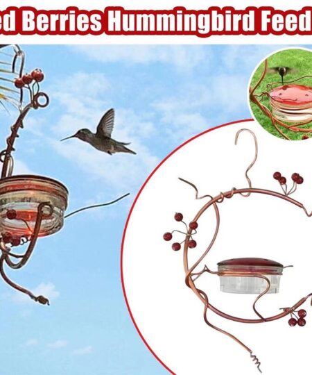 🔥50% OFF TODAY🔥Red Berries Hummingbird Feeder