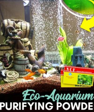 BioClear™ Aquarium Purifying Powder