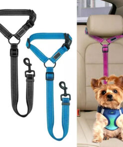 2021 Must-Have Dog Car Seat Belt