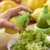 (SUMMER HOT SALE - SAVE 50% OFF) Citrus Sprayers