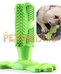 (❤️Clearance Sale: Buy 2 Get Extra 10% OFF) Dog Toothbrush