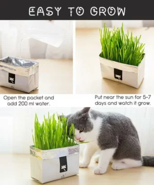 Vetreska™ DIY Self Grow Cat Grass