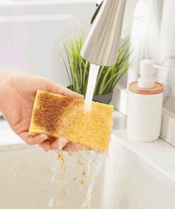 （Swell with water）Biodegradable wood pulp sponge