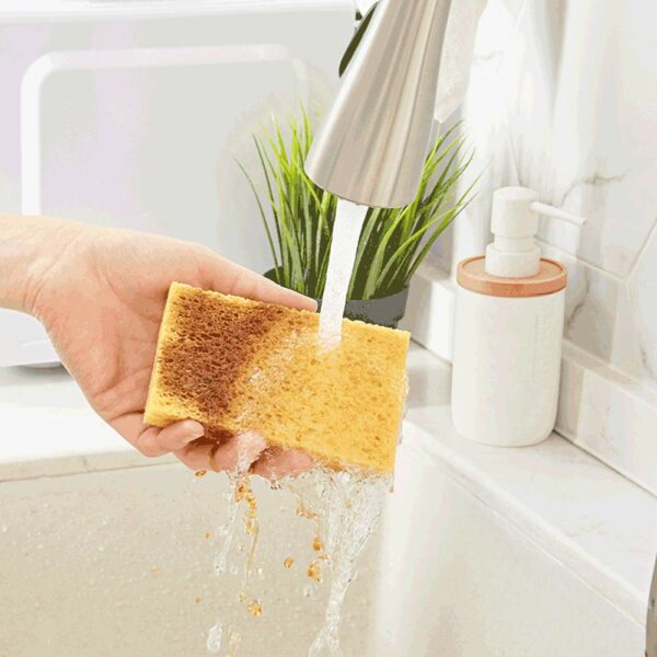 （Swell with water）Biodegradable wood pulp sponge