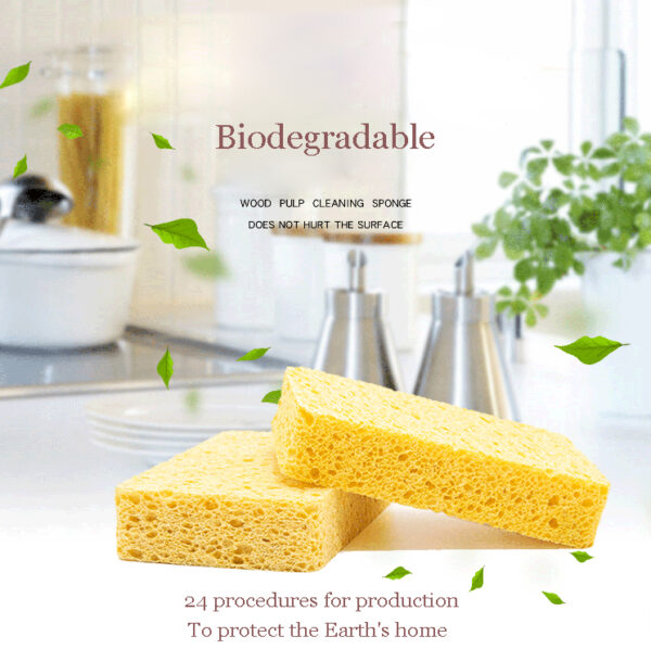 （Swell with water）Biodegradable wood pulp sponge