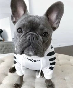 ‘WOOF’ Trendy Dog Hoodie