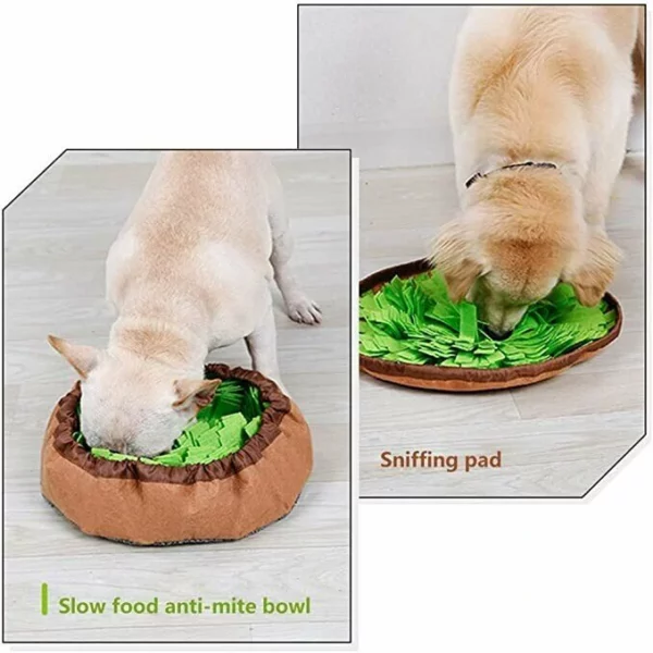 🔥50% OFF🔥Pet smell mat