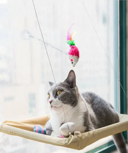 CAT HANGING BEDS