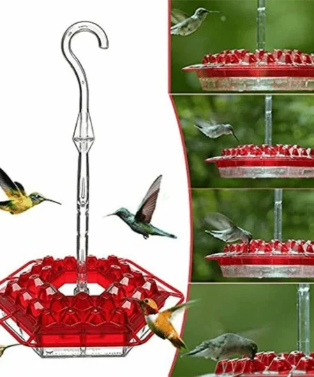 Hummingbird Feeder With Perch And Built-in Ant Moat ⏰ Special Offer ⏰