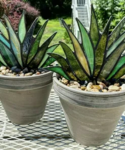 (Last Day Flash Sale-50% OFF)Suncatcher Stained Agave Plante