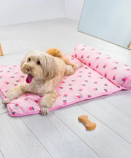 Cloud Sofa Cooling Bed For Your Pooch