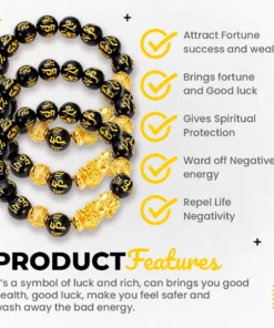 Feng Shui Black Obsidian Wealth Bracelet