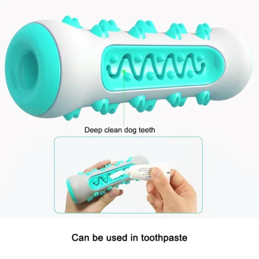 Dog Molar Toy