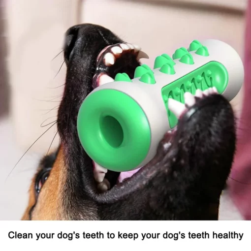 Dog Molar Toy