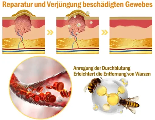 PLTOWE® leistungsstarke Ganzkörper-Hautpflegecreme