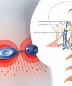 DetoxFlow™ Portable LymphaticDetox And Joint Relaxation Therapy Device