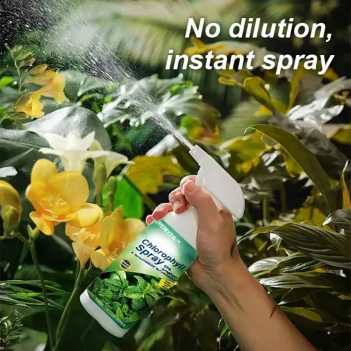 JEREMYTIS™ Chlorophyll Spray