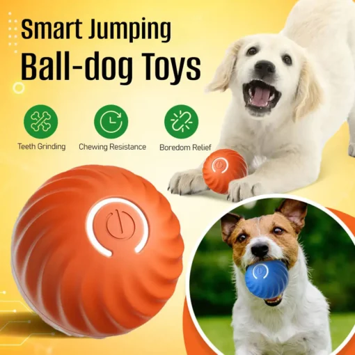 Smart jumping ball-Dog toys teeth grinding, chewing resistance, boredom relief